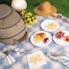 Rucsac picnic termoizolant cu patura picnic, poliester 600D de densitate mare, Everestus, TL01, maro, saculet si pastila racire incluse